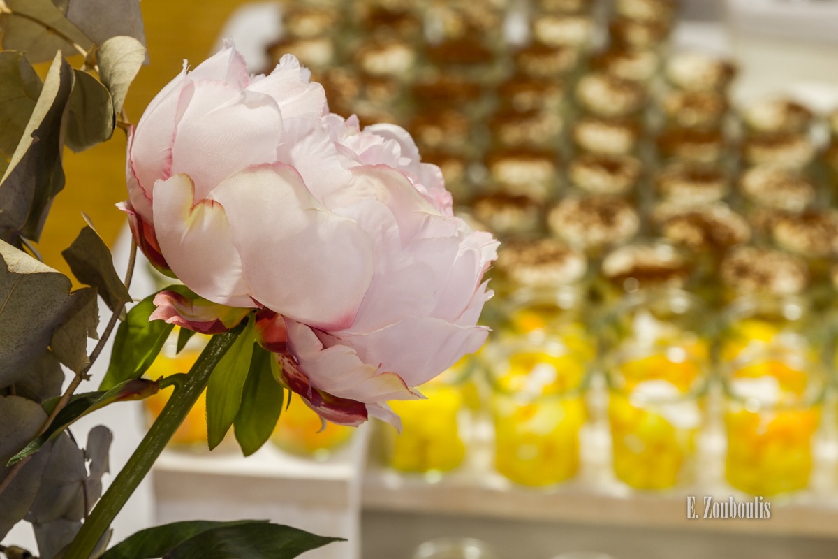 Eventfotograf Stuttgart Zouboulis Event Fotografie