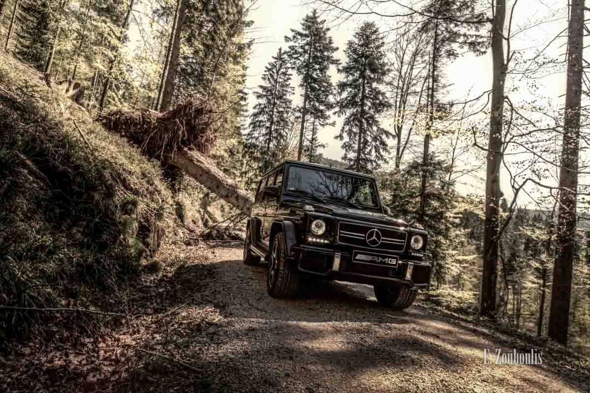Der G63 AMG vor einem entwurzelten Baum im Wald